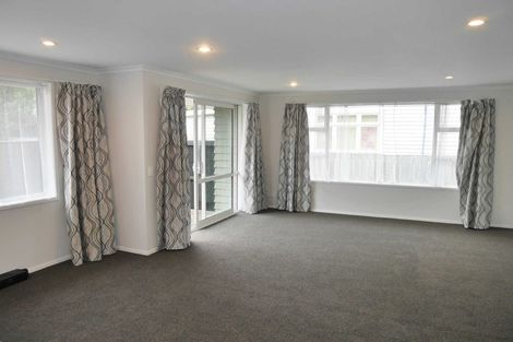 Photo of property in 19 Defoe Place, Waltham, Christchurch, 8023