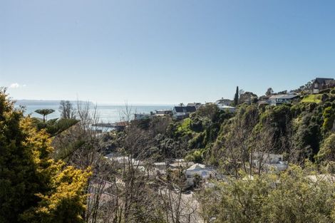 Photo of property in 21 Coleman Terrace, Bluff Hill, Napier, 4110