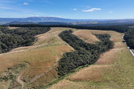 Photo of property in 205 Otokia-kuri Bush Road East, Kuri Bush, Dunedin, 9091