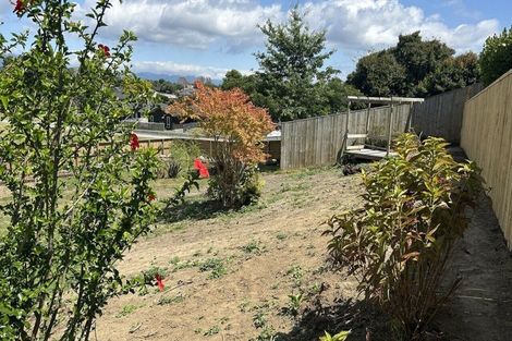 Photo of property in 39 Western Avenue, Omokoroa, 3172