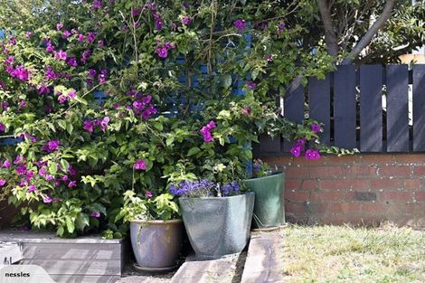 Photo of property in 28 Ferry Street, Seatoun, Wellington, 6022