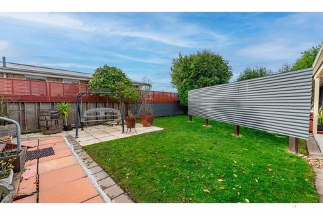Photo of property in 19 Oxford Street, West End, Timaru, 7910