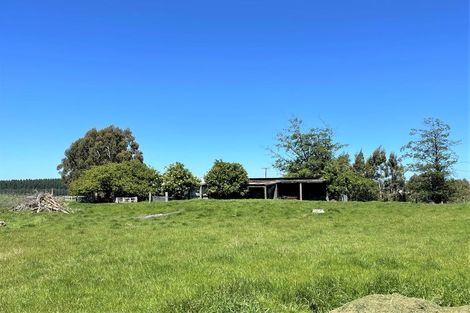 Photo of property in 41 Keithmore Road, Balclutha, 9230
