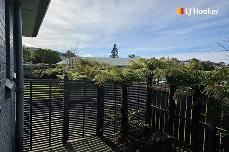 Photo of property in 86 Greenock Street, Kaikorai, Dunedin, 9010
