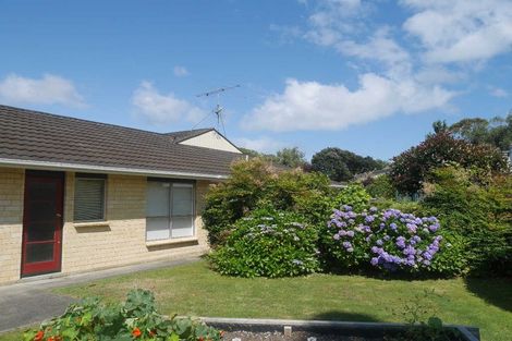 Photo of property in 9 Alexander Street, Waikanae, 5036
