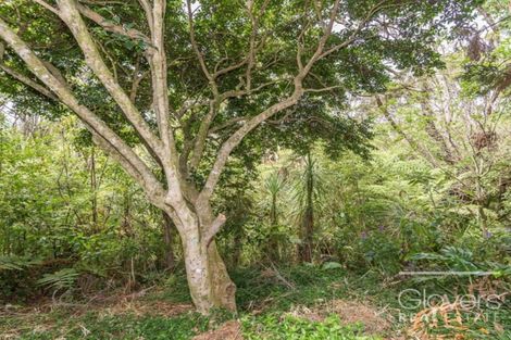 Photo of property in 38 Lantana Road, Green Bay, Auckland, 0604