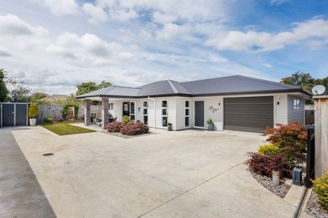 Photo of property in 15b Chamberlain Street, Feilding, 4702