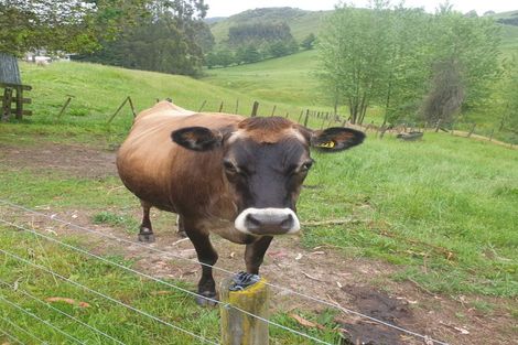 Photo of property in 1127 Poihipi Road, Oruanui, Taupo, 3377