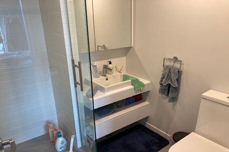 Photo of property in Pinnacle On Victoria, 1003/160 Victoria Street, Te Aro, Wellington, 6011