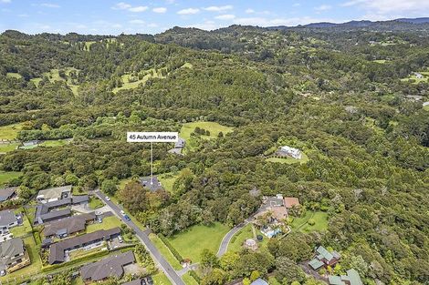 Photo of property in 45 Autumn Avenue, Glen Eden, Auckland, 0602