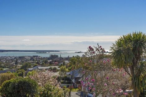 Photo of property in 6 Yateley Place, Richmond, 7020