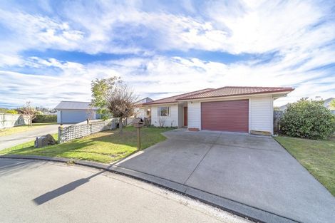 Photo of property in 8 Belgrove Place, Waipukurau, 4200