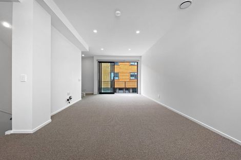Photo of property in Aniva Terrace, 19 Arney Street, Newtown, Wellington, 6021