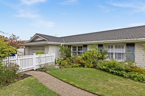 Photo of property in 3 Chestnut Court, Havelock North, 4130