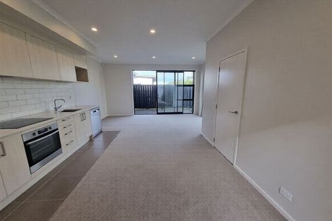 Photo of property in 24 Sacred Kingfisher Road, Hobsonville, Auckland, 0616
