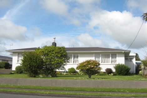 Photo of property in 113 Rata Street, Inglewood, 4330