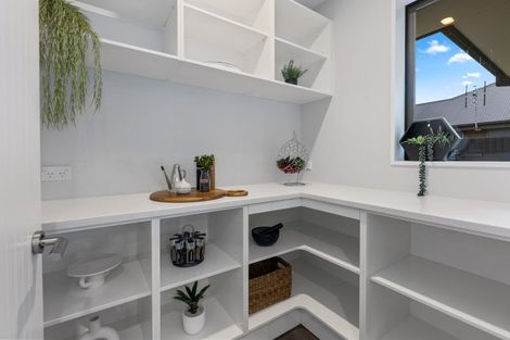 Photo of property in 61 Tauhinu Avenue, Lincoln, 7608