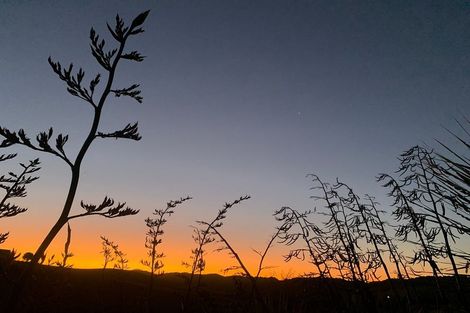 Photo of property in 133 Pukenui Road, Ngunguru, Whangarei, 0173