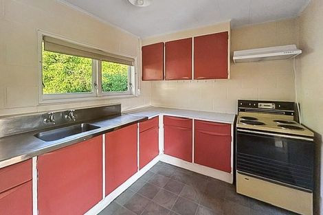 Photo of property in 121/123 Elizabeth Drive, Tokoroa, 3420