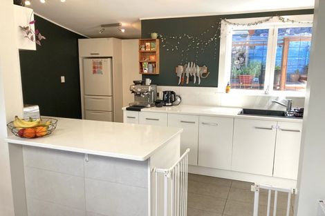 Photo of property in 15 Priscilla Crescent, Mornington, Wellington, 6021