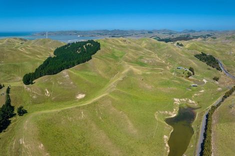 Photo of property in 363 Caseys Road, Lake Grassmere, Seddon, 7285