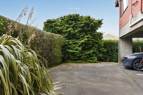 Photo of property in 19a Sheen Street, Roslyn, Dunedin, 9010