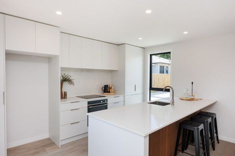 Photo of property in 46a Manawatu Street, Hokowhitu, Palmerston North, 4410