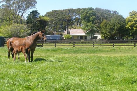 Photo of property in 389 Hursthouse Road, Tarurutangi, Inglewood, 4389