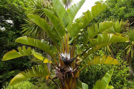 Photo of property in 16 Ranginui Street, Mangonui, 0420