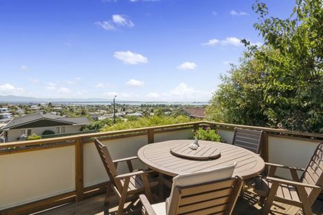 Photo of property in 45 Marlborough Crescent, Richmond, 7020