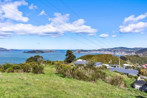 Photo of property in 51 Edgecombe Street, Newlands, Wellington, 6037
