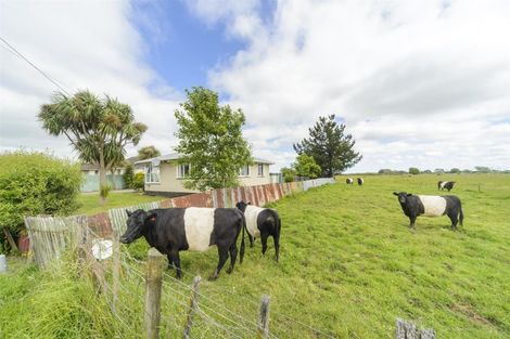 Photo of property in 26 Princess Street, Marton, 4710