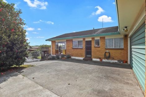 Photo of property in 65 Young Street, Morrinsville, 3300