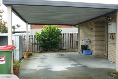 Photo of property in 241 Te Tomo Street, Te Awamutu, 3800