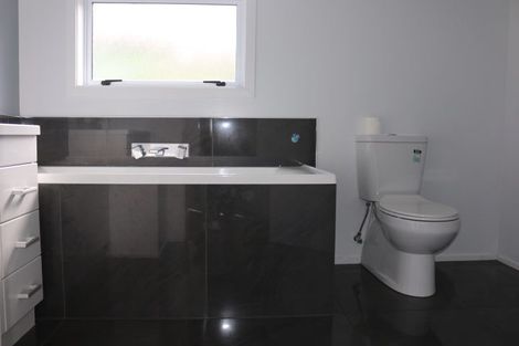 Photo of property in 16 Wellesley Street, Feilding, 4702