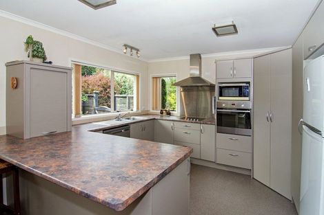 Photo of property in 13 Essex Street, Masterton, 5810