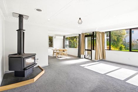 Photo of property in 23 Centennial Avenue, Helensburgh, Dunedin, 9010