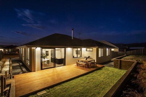 Photo of property in 45 Owhiro Avenue, Mosgiel, 9024