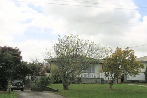 Photo of property in 32 Terrace Avenue, Morrinsville, 3300