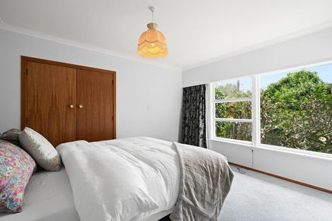 Photo of property in 11 Hamilton Parade, Hamilton Central, Hamilton, 3204