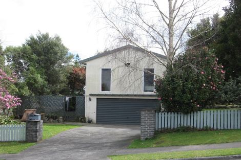 Photo of property in 6 Pelorus Street, Welcome Bay, Tauranga, 3112