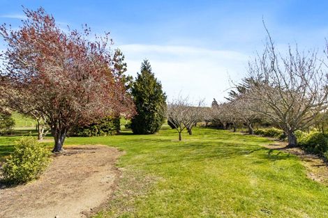 Photo of property in 43 Doug Ledgerwood Drive, Wanaka, 9305