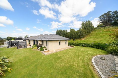 Photo of property in 19 Ursula Drive, Feilding, 4702