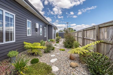 Photo of property in 21 Craigmillar Street, Solway, Masterton, 5810