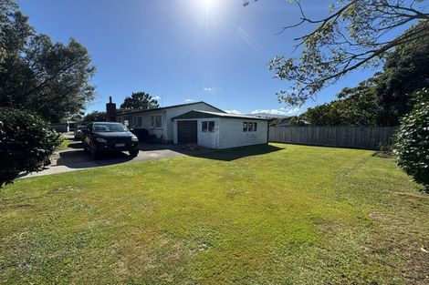 Photo of property in 136 Stanford Street North, Ashhurst, 4810