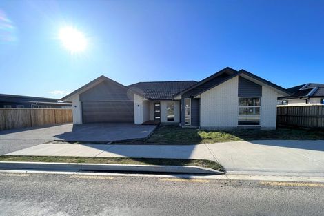 Photo of property in 189 Alabama Road, Redwoodtown, Blenheim, 7201