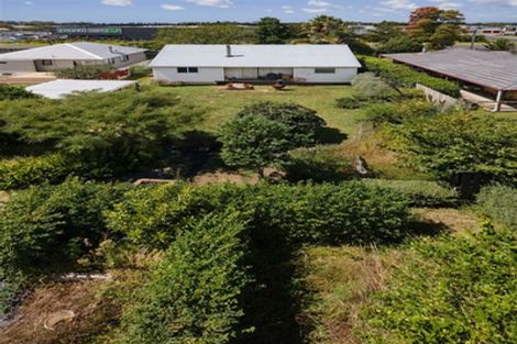 Photo of property in 138 Main Road, Katikati, 3129