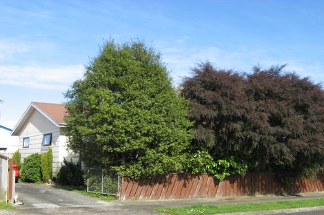 Photo of property in 16 Guy Avenue, Levin, 5510