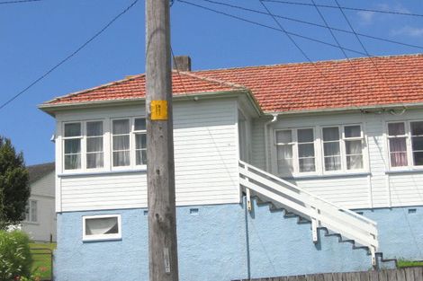 Photo of property in 19 Alamein Terrace, Mount Albert, Auckland, 1025