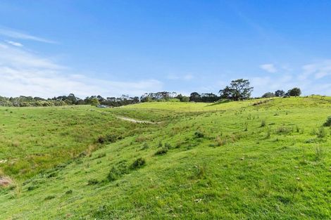 Photo of property in 132b Gatfield Road, Kaukapakapa, 0873